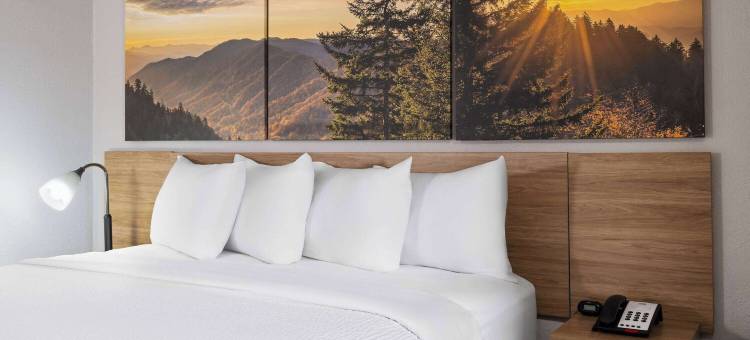 北卡罗来纳州索尔兹伯里温德姆戴斯酒店(Days Inn by Wyndham Salisbury, NC)图片