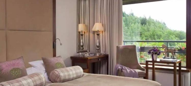 Irena Eris Krynica Zdrój 12+ SPA酒店(Hotel Spa Dr Irena Eris Krynica Zdrój)图片