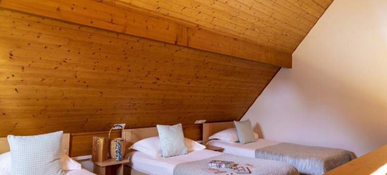 兰斯洛特温泉酒店(Hôtel Lancelot & Spa - Domaine du Roi Arthur)图片