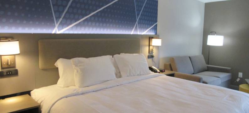 斯普林菲尔德舒适酒店及套房(Springfield Inn)图片