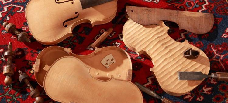 鲁斯之家酒店(Logis le Luth)图片