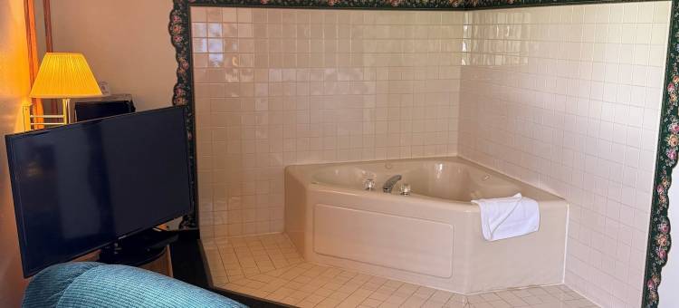 德威特速8酒店(Budget Inn & Suites)图片