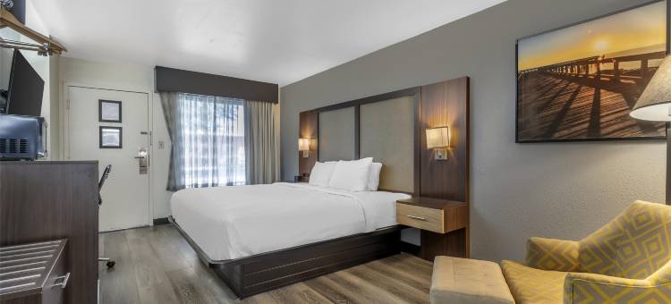 特索尔兹伯里广场贝斯特韦斯特酒店(Best Western Salisbury Plaza)图片