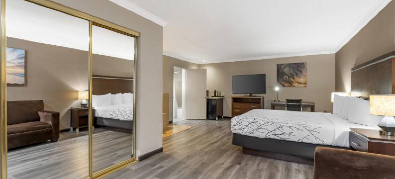 雷东多比奇海滩广场贝斯特韦斯特酒店(Best Western Redondo Beach Galleria Inn-Los Angeles LAX Airport Hotel)图片