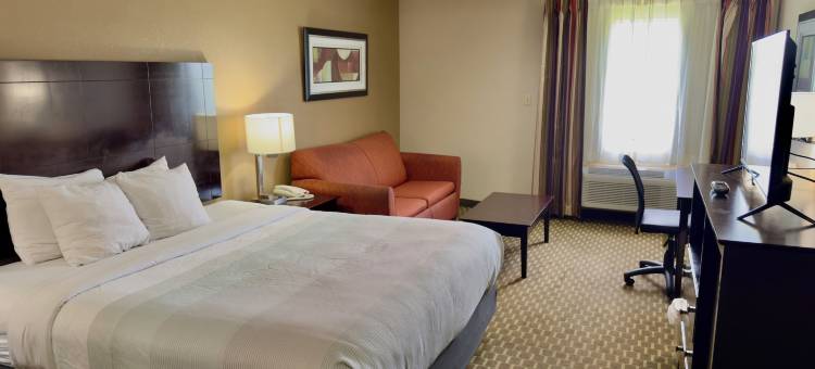 派恩布鲁夫凯艺套房酒店(Quality Inn & Suites Pine Bluff)图片