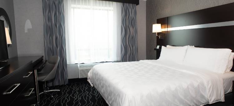 假日套房酒店-乔利埃特西南(Holiday Inn & Suites Joliet Southwest)图片