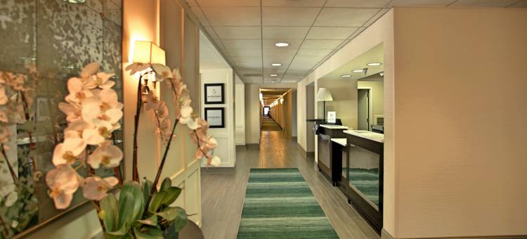 希尔顿欢朋酒店-纳奇托且斯(Hampton Inn Natchitoches)图片