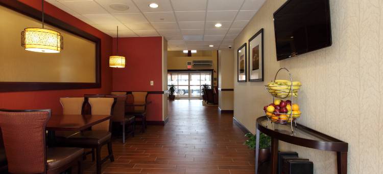 夏洛茨维尔-大学区欢朋套房酒店(Hampton Inn & Suites Charlottesville-at the University)图片