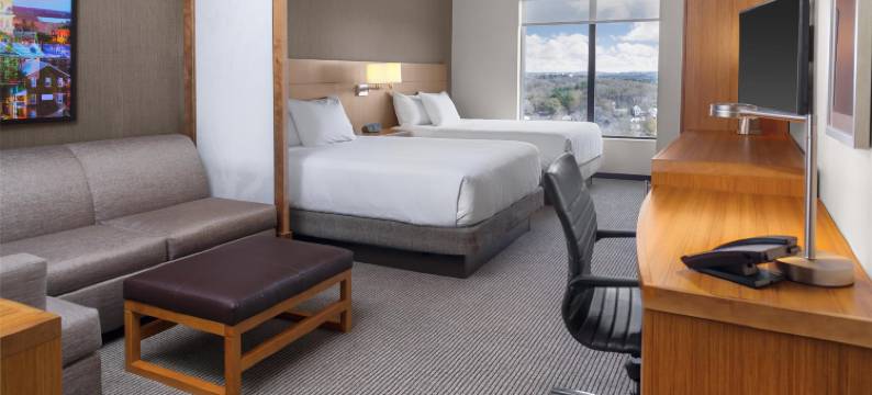 雅典市中心凯悦嘉轩酒店(Hyatt Place Athens/Downtown)图片