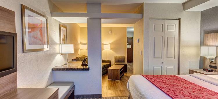 纳什维尔机场贝斯特韦斯特优质酒店(Best Western Plus Nashville Airport Hotel)图片