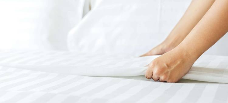 福勒维尔马格努森酒店(Magnuson Hotel Fowlerville)图片