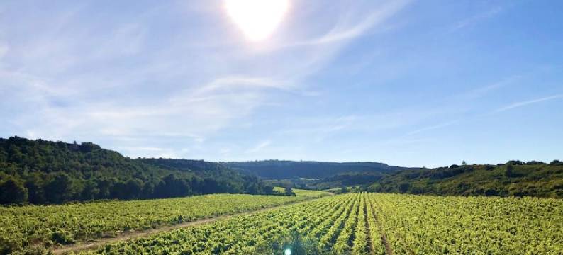 lavender dream / private pool图片