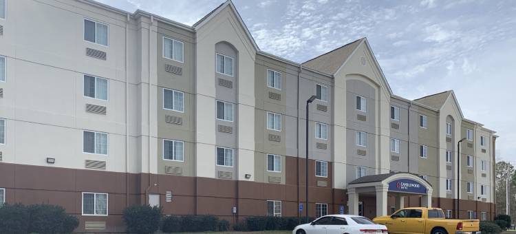 Candlewood Suites 珍珠 by IHG(Candlewood Suites Pearl)图片