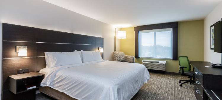 智选假日套房酒店南湾 - 厄斯金园(Holiday Inn Express & Suites SOUTH BEND - CASINO by IHG)图片