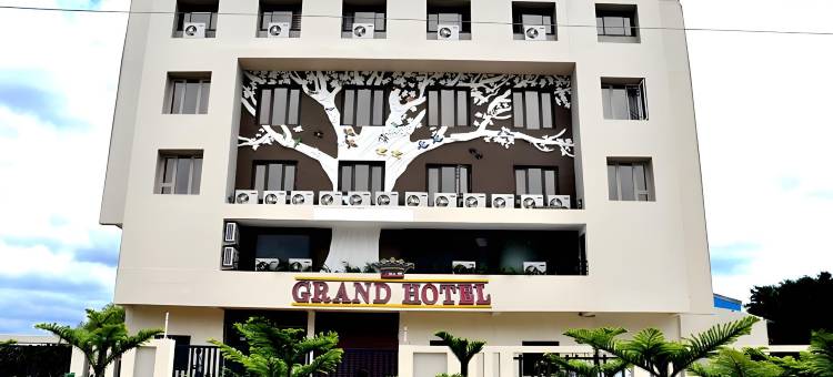 蓝毗尼大酒店(Lumbinis Grand Hotel)图片