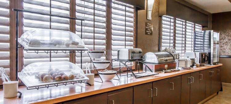 北图森马拉纳舒适套房酒店(Comfort Inn & Suites North Tucson Marana)图片