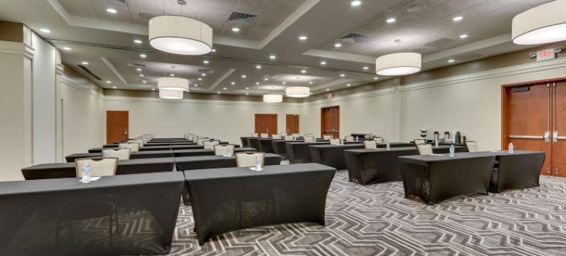 德鲁里套房酒店-环球奥兰多度假村(Drury Inn & Suites Orlando Near Universal Orlando Resort)图片