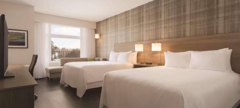 新不伦瑞克弗雷德里克顿丽笙金斯伍德酒店(Radisson Kingswood Hotel & Suites, Fredericton)图片