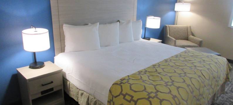 迪凯特贝斯特韦斯特旅馆(Best Western Decatur Inn)图片