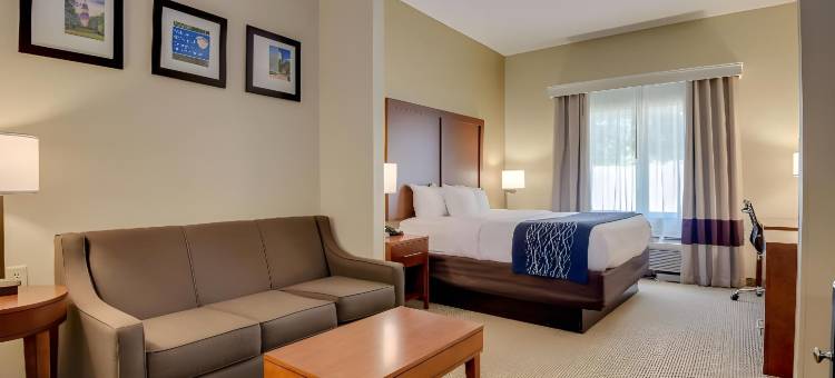 奥古斯塔艾森豪威尔高速公路舒适套房酒店(Comfort Inn & Suites Augusta Fort Eisenhower Area)图片