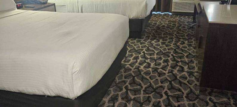 大托斯卡纳酒店(Grand Tuscany Hotel)图片