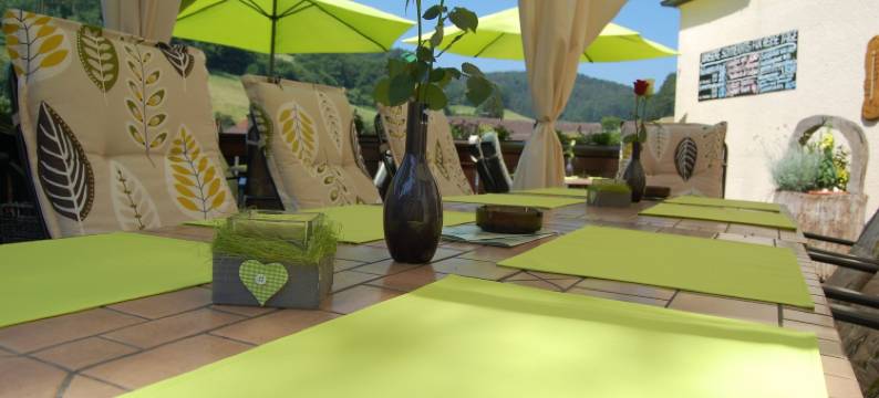 格鲁纳鲍姆乡村酒店(Hotel Grüner Baum Mit Restaurant & Wellness)图片