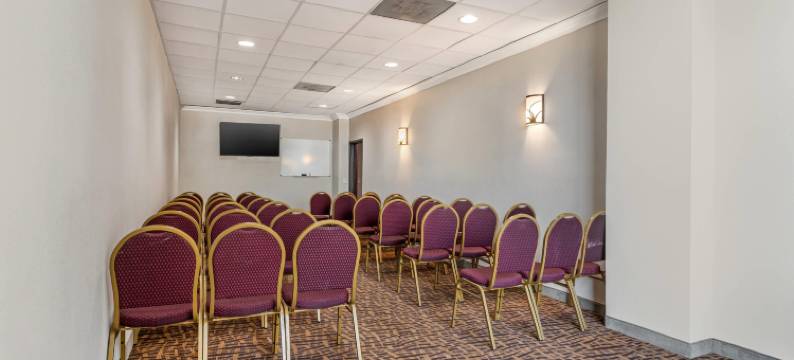 康福特套房布什洲际机场酒店(Comfort Suites Bush InterContinental Airport)图片