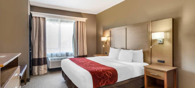 康福特套房布什洲际机场酒店(Comfort Suites Bush InterContinental Airport)图片