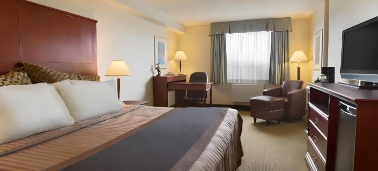 温哥华机场温德姆Travelodge酒店(Travelodge Hotel by Wyndham Vancouver Airport)图片