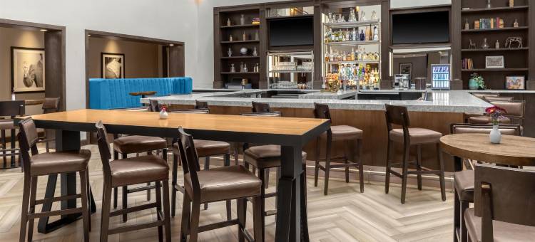 拉伯克大学区希尔顿逸林酒店(DoubleTree by Hilton Lubbock University Area)图片
