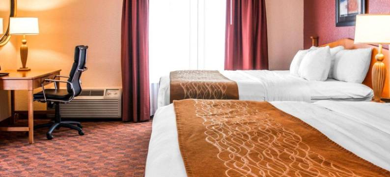 会议中心舒适酒店(Comfort Inn & Suites and Conference Center)图片