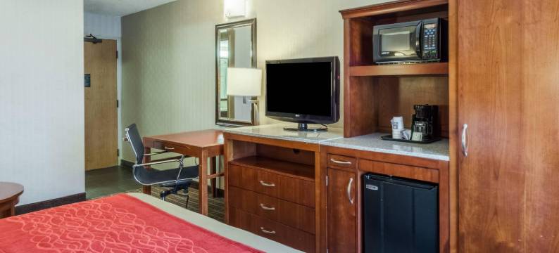 舒适套房酒店(Comfort Inn & Suites)图片