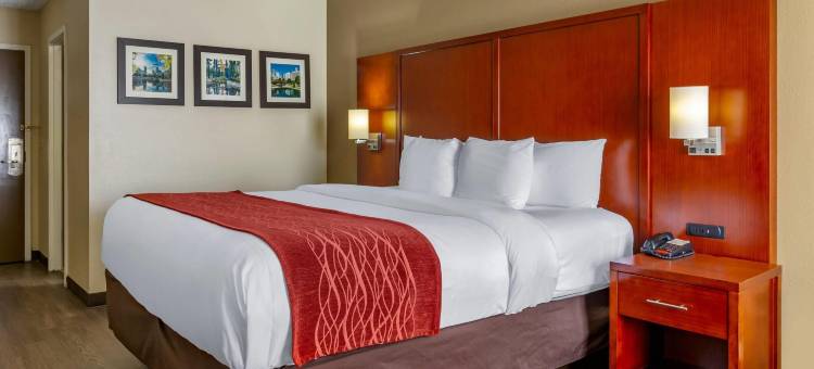 福特米尔舒适酒店 卡罗温兹大道游乐园(Comfort Inn Fort Mill Amusement Park at Carowinds Blvd)图片
