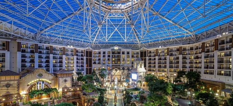 盖洛德德克萨斯度假酒店及会议中心(Gaylord Texan Resort & Convention Center)图片