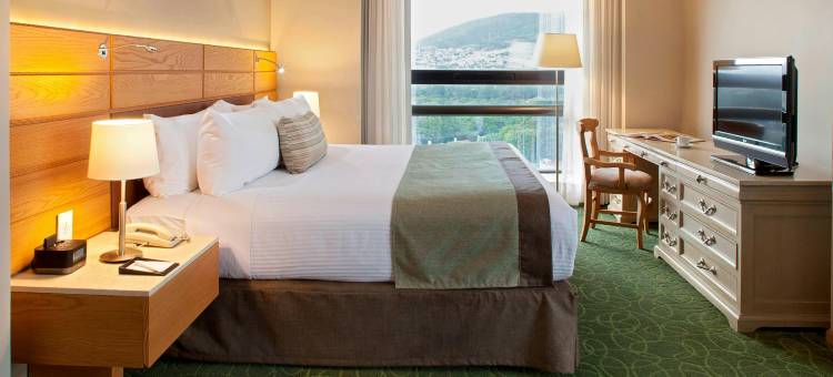 万豪图斯特拉-古铁雷斯酒店(Marriott Tuxtla Gutierrez Hotel)图片