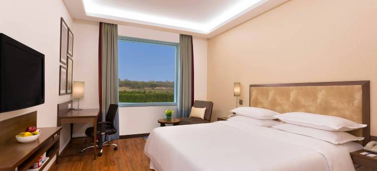新德里机场大道福朋喜来登酒店(Four Points by Sheraton New Delhi, Airport Highway)图片