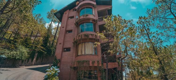 派因拽伍度假村(Pine Drive Resort)图片