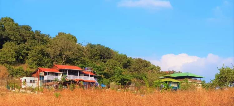 森林民宿别墅(ForRest Homestay Villa)图片