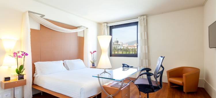 佛罗伦萨诺弗里希尔顿花园酒店(Hilton Garden Inn Florence Novoli)图片