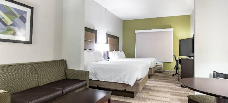 新马丁斯维尔洲际智选假日套房酒店(Holiday Inn Express & Suites NEW MARTINSVILLE by IHG)图片