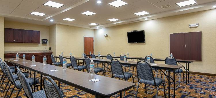 智选假日套房酒店拉斐特西(Holiday Inn Express & Suites LAFAYETTE EAST by IHG)图片