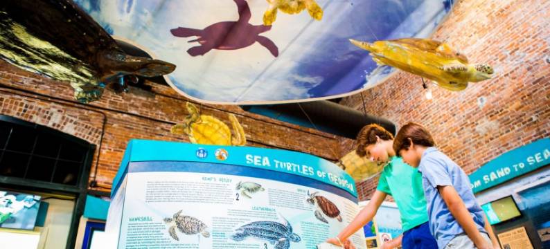 Holiday Inn Resort 吉柯岛(Holiday Inn Resort JEKYLL ISLAND by IHG)图片