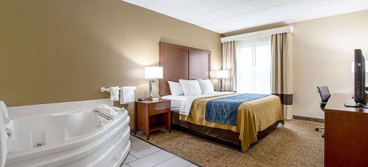 印地安纳波利斯北舒适酒店-卡梅尔(Comfort Inn Indianapolis North - Carmel)图片