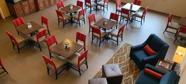 舒适套房酒店-德克萨斯大道(Comfort Suites Texas Ave)图片