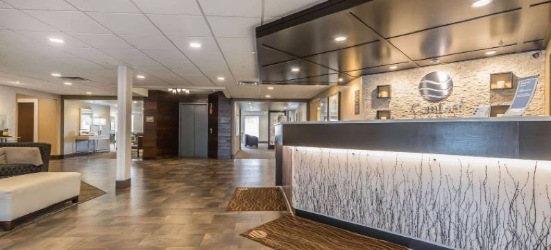 舒适套房酒店(Comfort Inn & Suites)图片