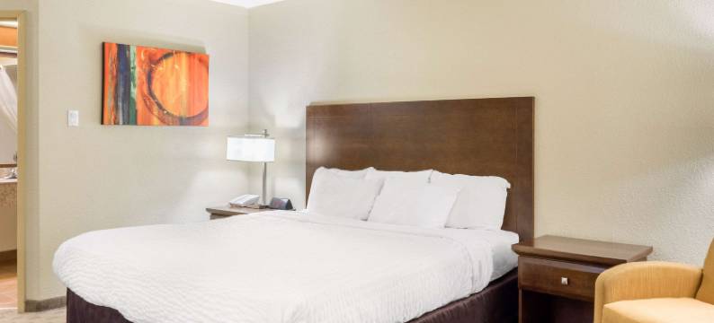 凯艺套房酒店(Quality Inn & Suites)图片