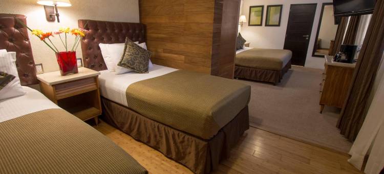 里奥特基斯基亚潘酒店(Hotel Rio Tequisquiapan)图片