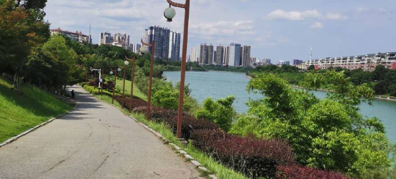 诚信为本都市逸家民宿(龙泉湖路分店)图片