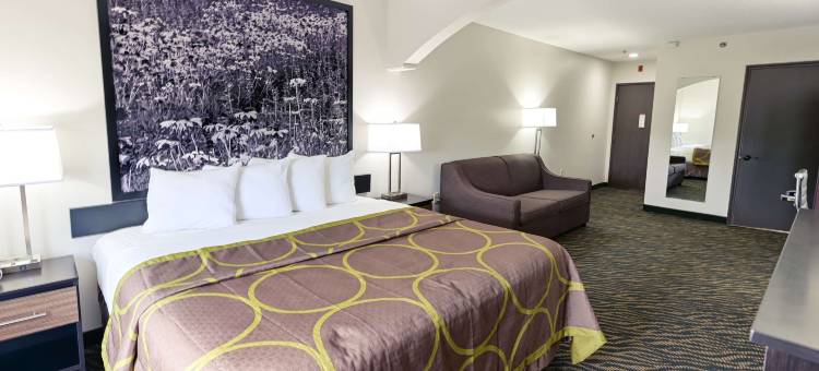 海波因特-格林斯波罗温德姆速8酒店(Super 8 by Wyndham High Point/Greensboro)图片