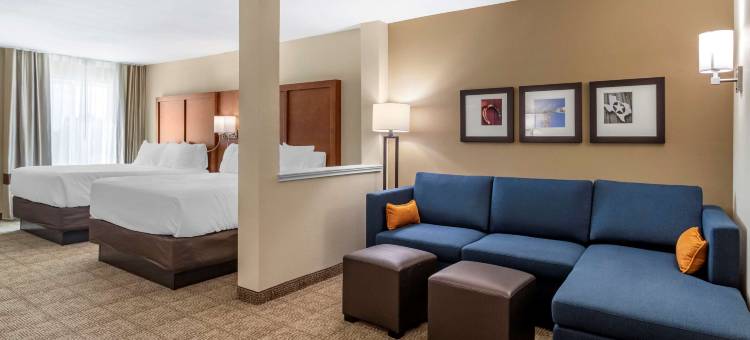 舒适套房酒店(Comfort Inn & Suites)图片